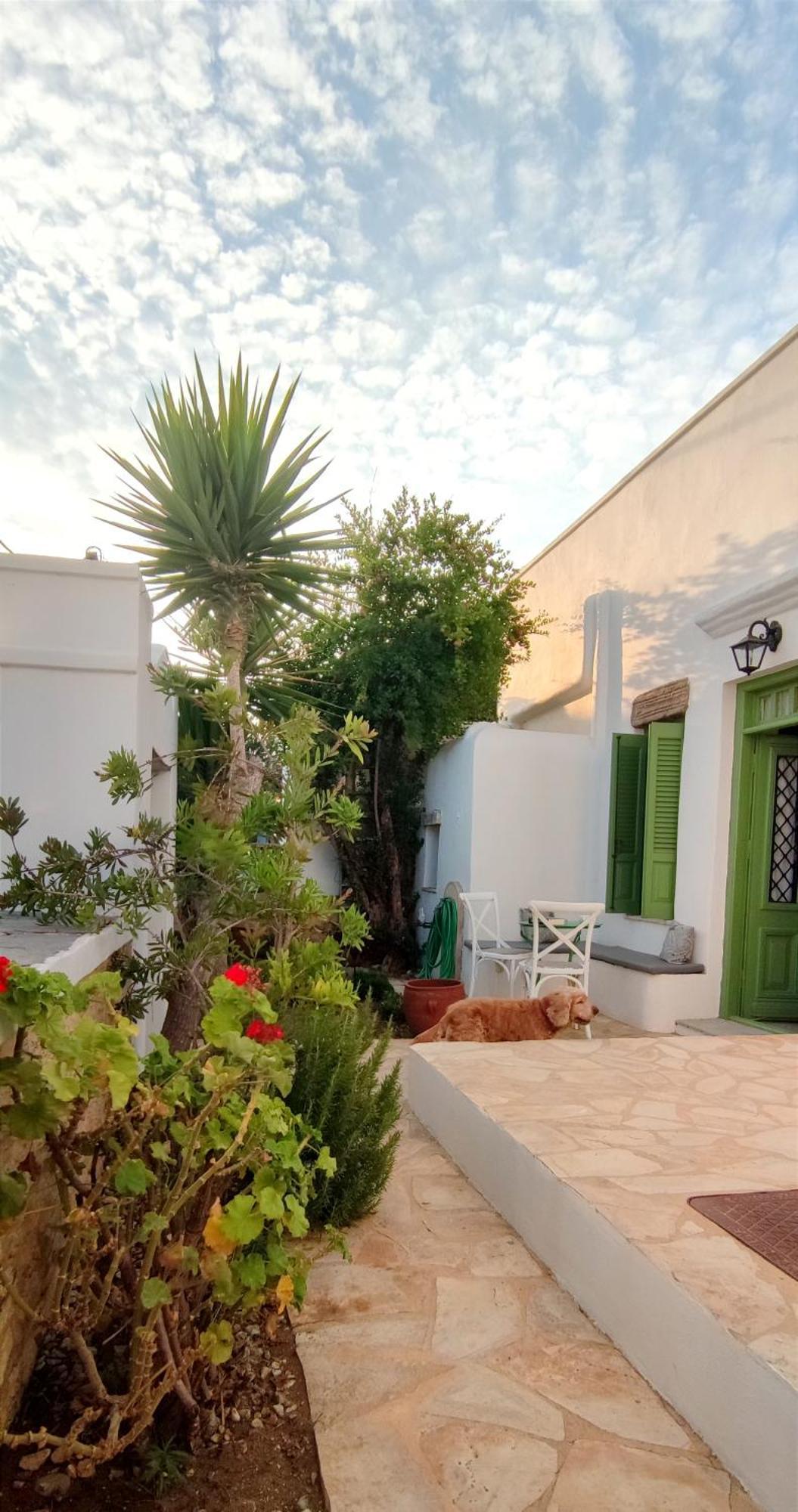 Matsas Mansions * Folegandros Town
